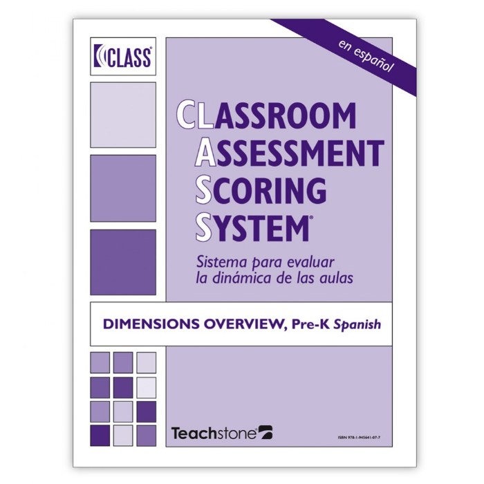 Primary Image of CLASS&reg; Dimensions Overview - PreK - Set of 5 - Spanish