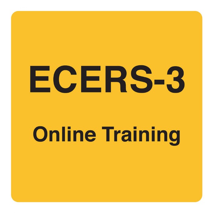 Primary Image of ECERS-3&trade; 101 Online Training