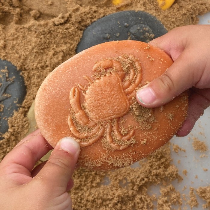 Alternate Image #1 of Let's Investigate - Seashore - Set of 8 Stones