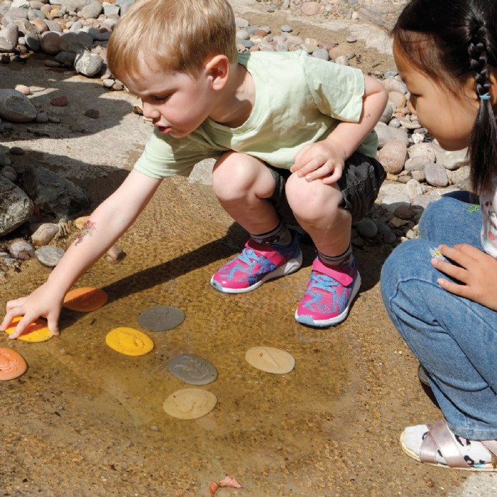 Alternate Image #1 of Let's Investigate - Seashore - Set of 8 Stones