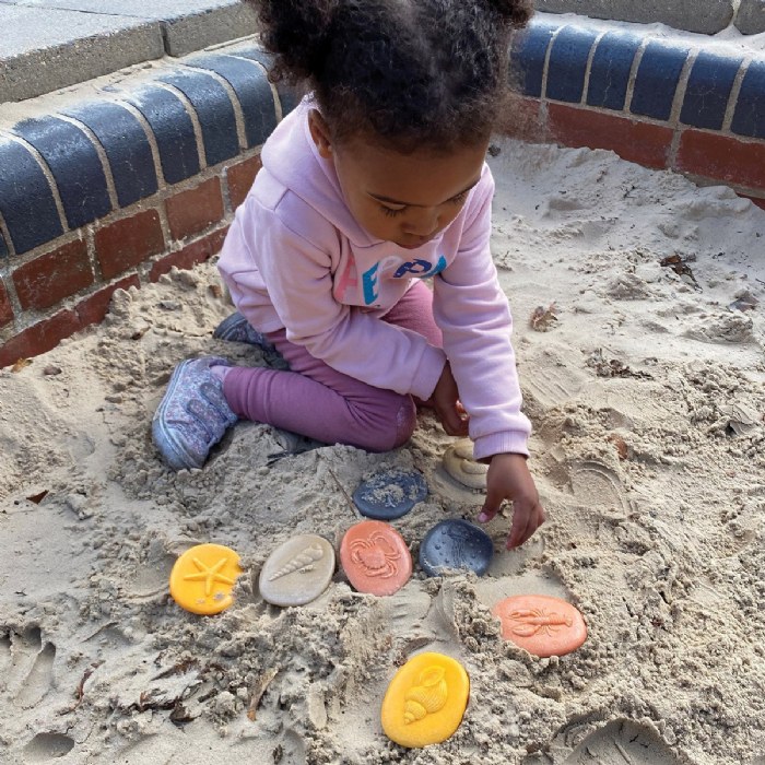 Alternate Image #1 of Let's Investigate - Seashore - Set of 8 Stones