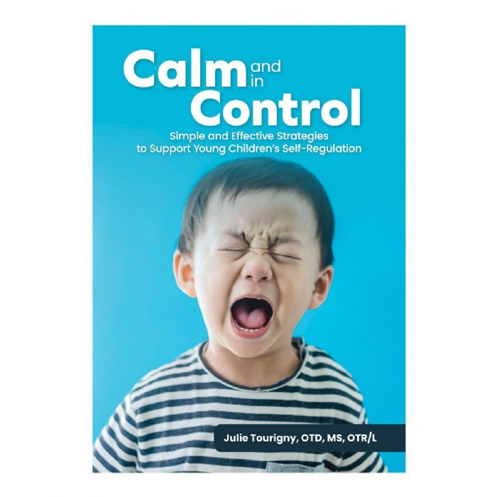 Primary Image of Calm and in Control: Simple and Effective Strategies to Support Young Children's Self-Regulation - Paperback
