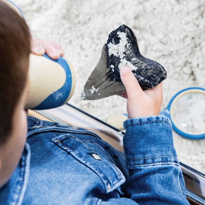 Alternate Image #1 of Super Shark Teeth Set - 40 Pieces