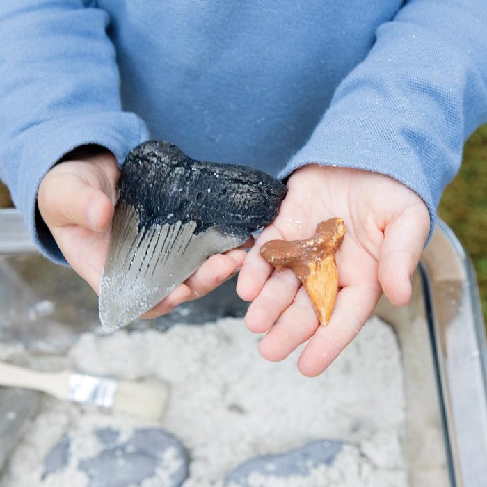 Alternate Image #1 of Super Shark Teeth Set - 40 Pieces