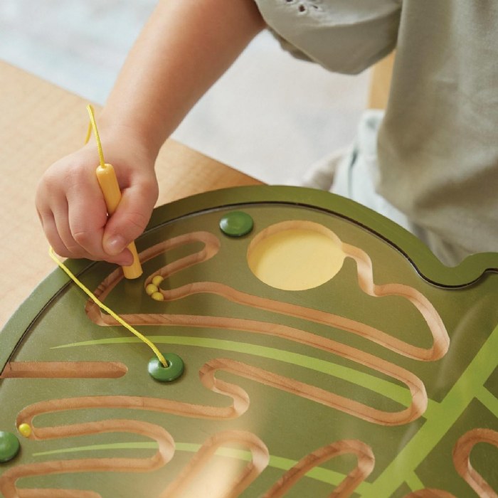 Alternate Image #1 of Nature's Paths Magnetic Leaf Mazes - Set of 3