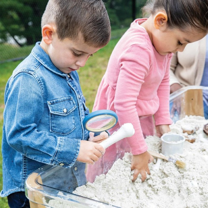 Alternate Image #1 of Big Bones Set - 20 Pieces