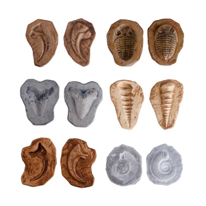 Alternate Image #1 of Magnetic Matching Fossil Stones - Set of 6