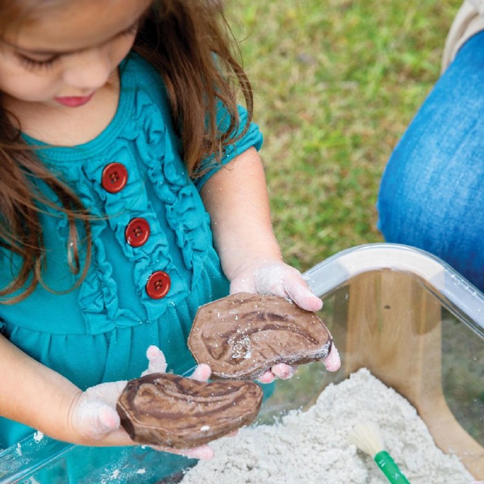 Alternate Image #1 of Magnetic Matching Fossil Stones - Set of 6