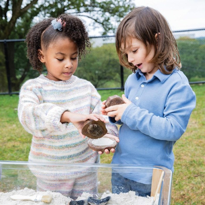 Alternate Image #1 of Magnetic Matching Fossil Stones - Set of 6
