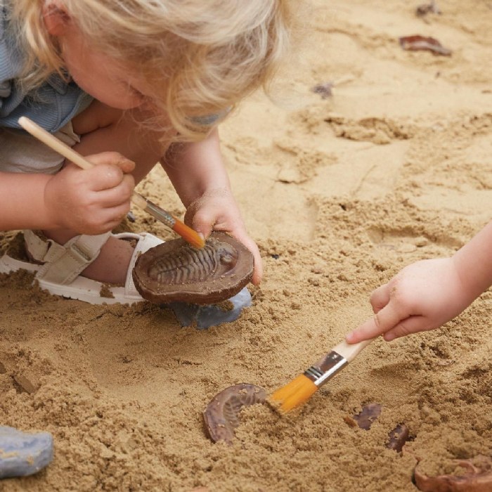 Alternate Image #1 of Magnetic Matching Fossil Stones - Set of 6