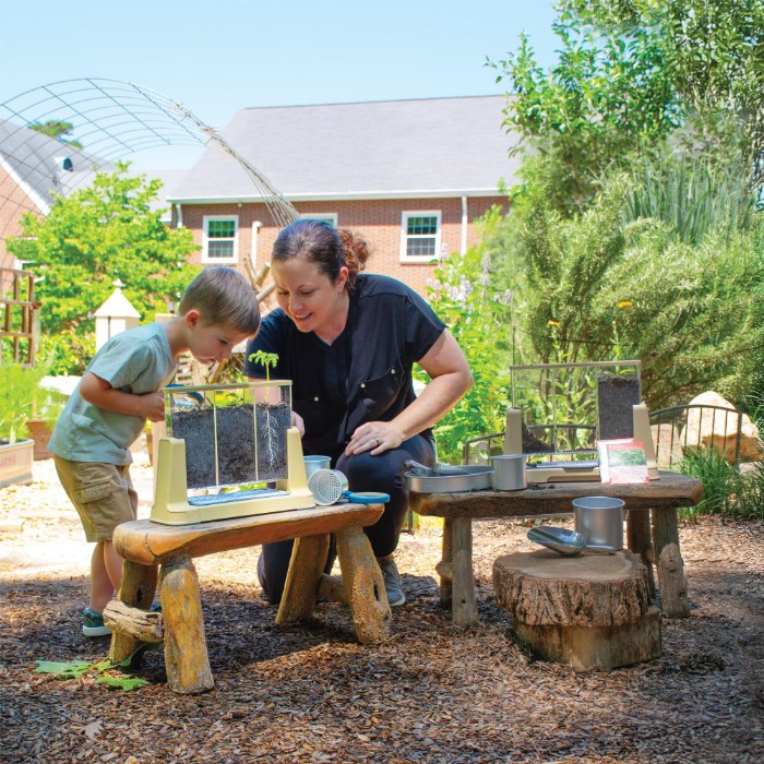 Alternate Image #1 of Explore and Discover 3 Section Root View Planter