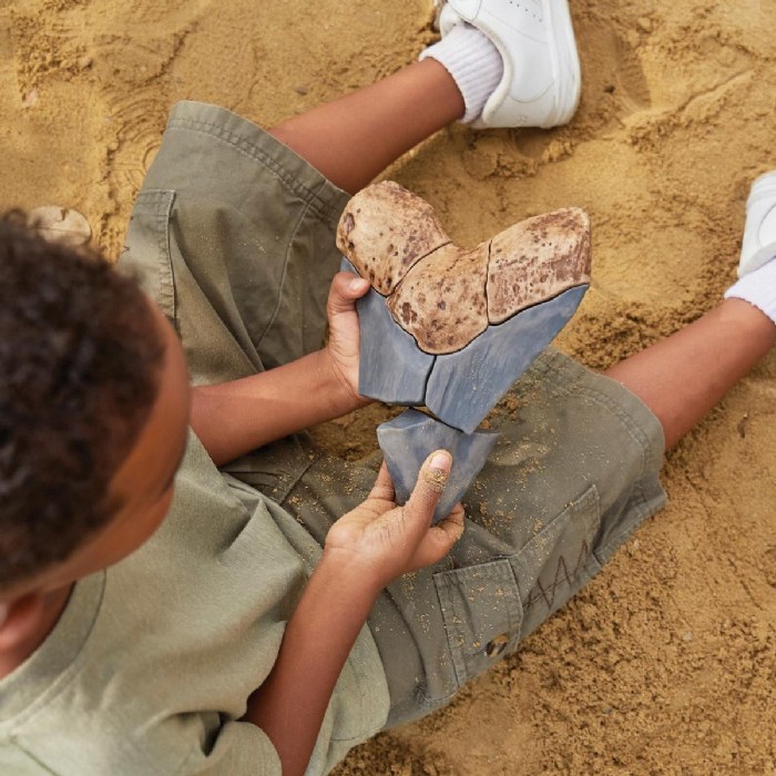 Alternate Image #1 of Magnetic Fossil 3D Puzzle - Megalodon Tooth - 6 Pieces