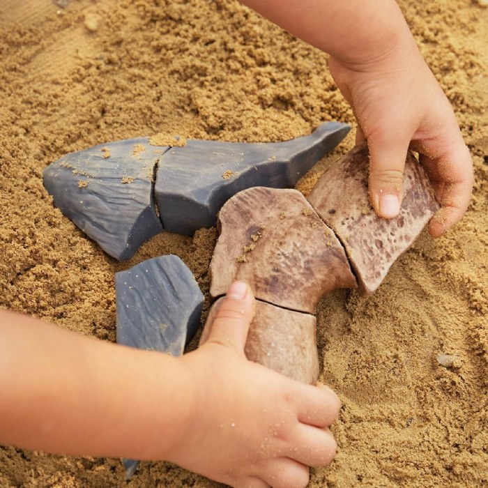 Alternate Image #1 of Magnetic Fossil 3D Puzzle - Megalodon Tooth - 6 Pieces