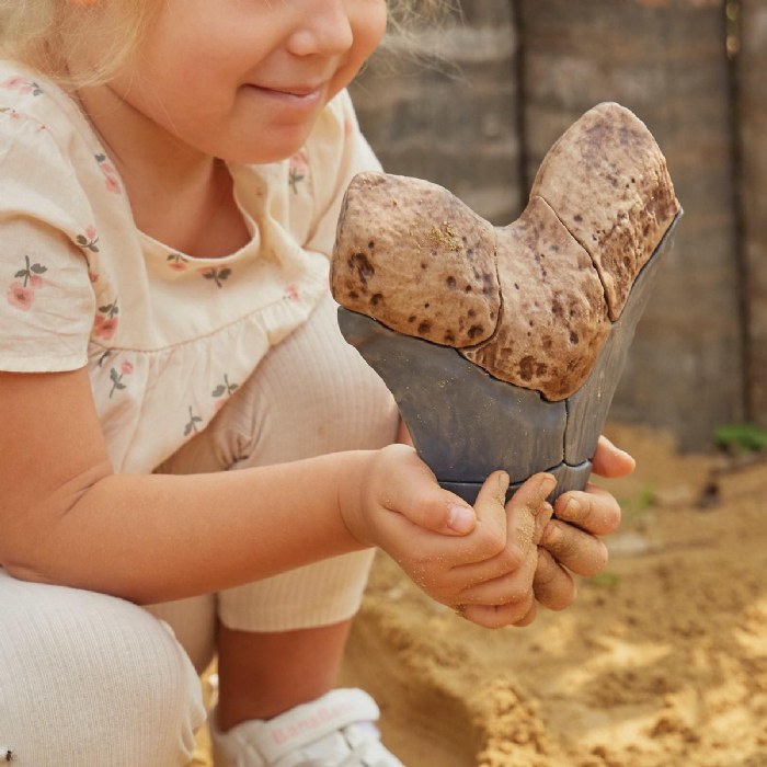 Alternate Image #1 of Magnetic Fossil 3D Puzzle - Megalodon Tooth - 6 Pieces