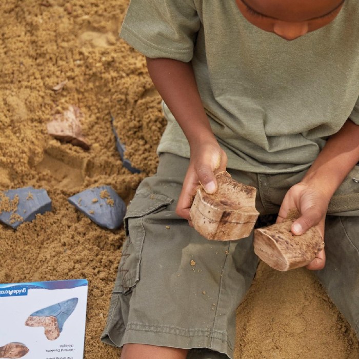 Alternate Image #1 of Magnetic Fossil 3D Puzzle - Megalodon Tooth - 6 Pieces