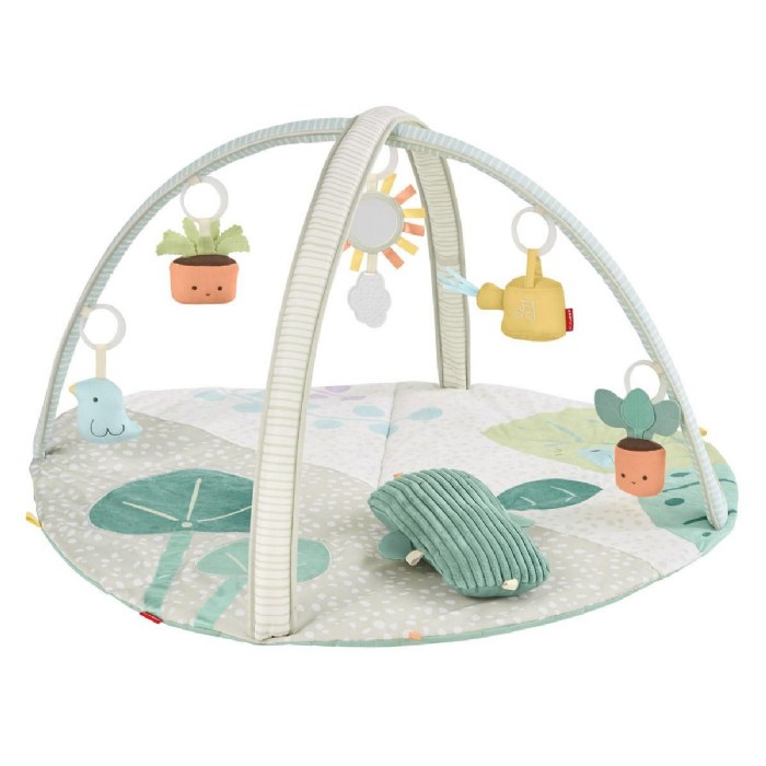 Primary Image of Garden Oasis Activity Gym