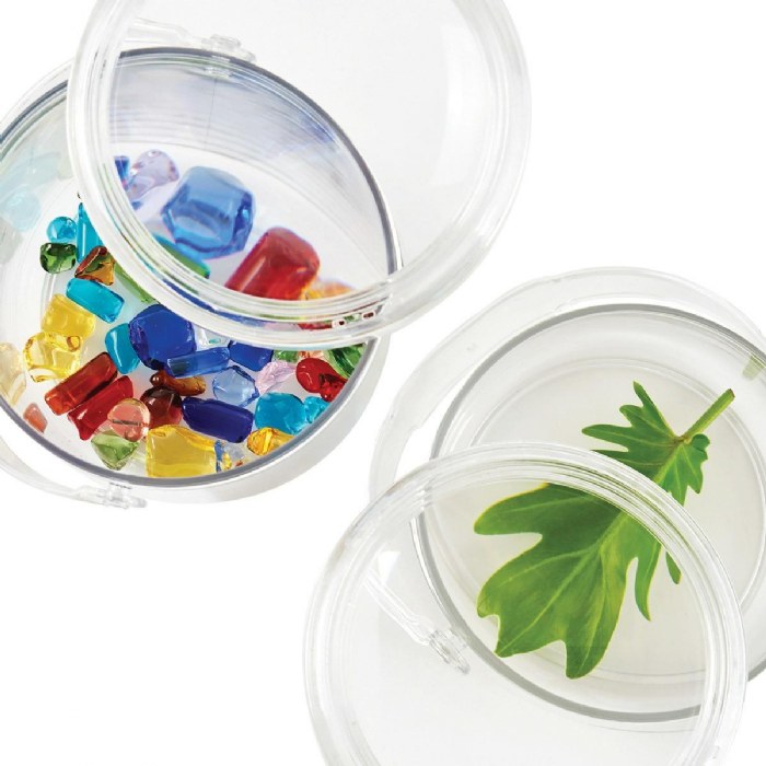 Alternate Image #1 of Carry and Discover Magnification Containers - Set of 2