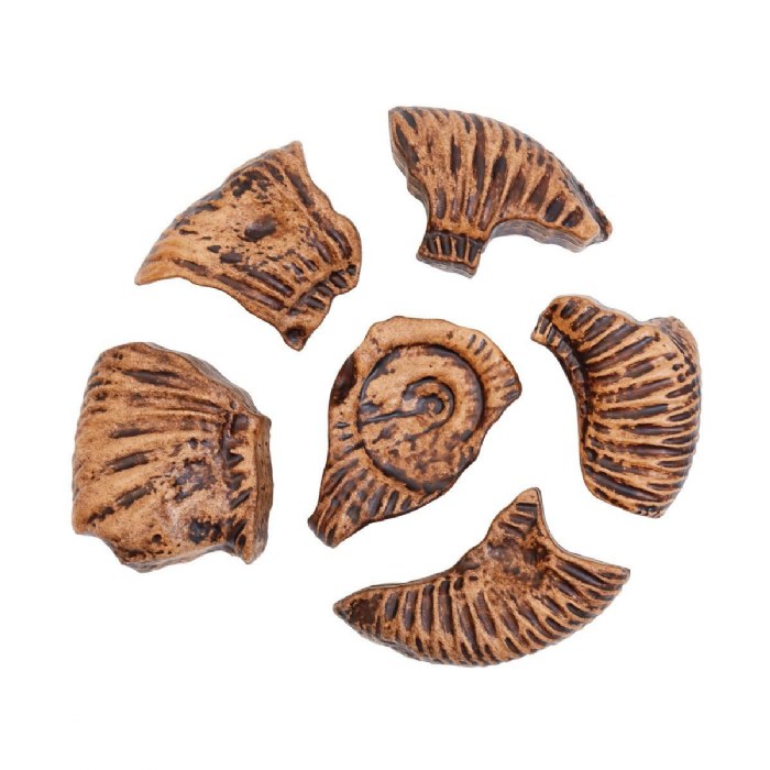 Alternate Image #1 of Magnetic Fossil 3D Puzzle - Ammonite - 6 Pieces