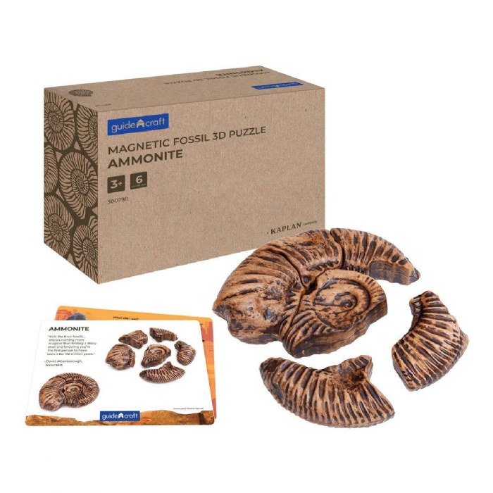 Primary Image of Magnetic Fossil 3D Puzzle - Ammonite - 6 Pieces