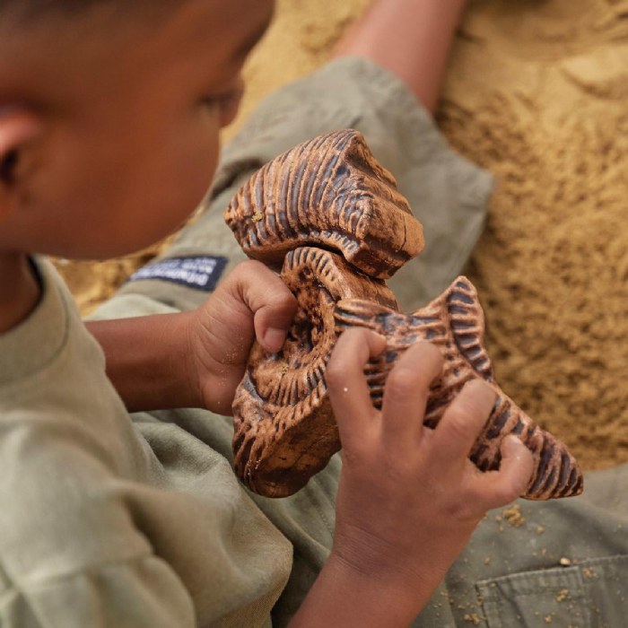 Alternate Image #1 of Magnetic Fossil 3D Puzzle - Ammonite - 6 Pieces