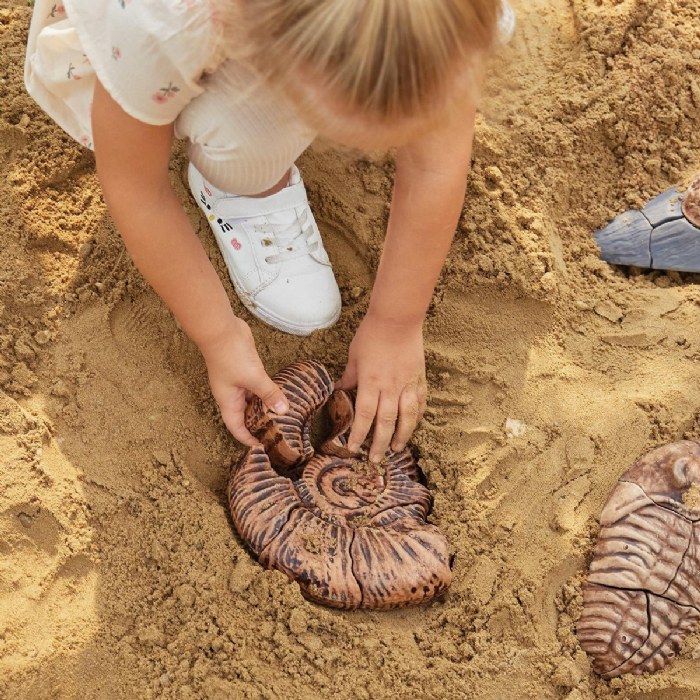 Alternate Image #1 of Magnetic Fossil 3D Puzzle - Ammonite - 6 Pieces