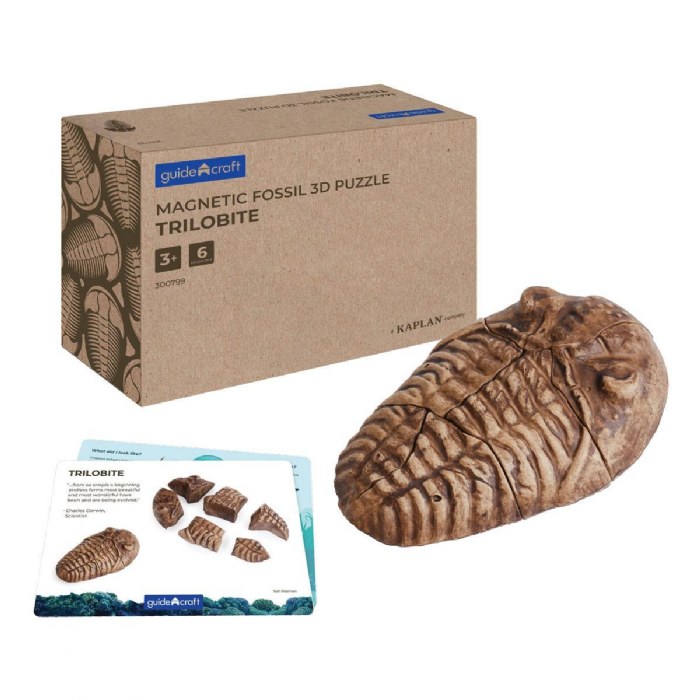 Primary Image of Magnetic Fossil 3D Puzzle - Trilobite - 6 Pieces