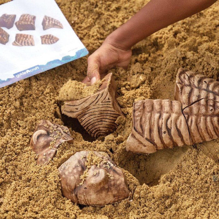 Alternate Image #1 of Magnetic Fossil 3D Puzzle - Trilobite - 6 Pieces