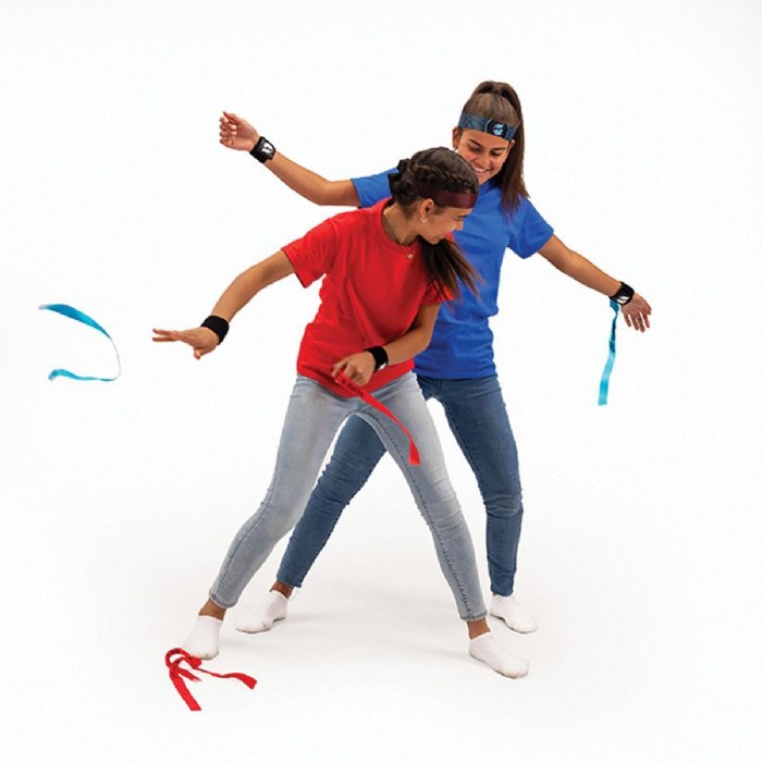 Alternate Image #1 of Ribbon Ninja - Active Ribbon-Snatching Game