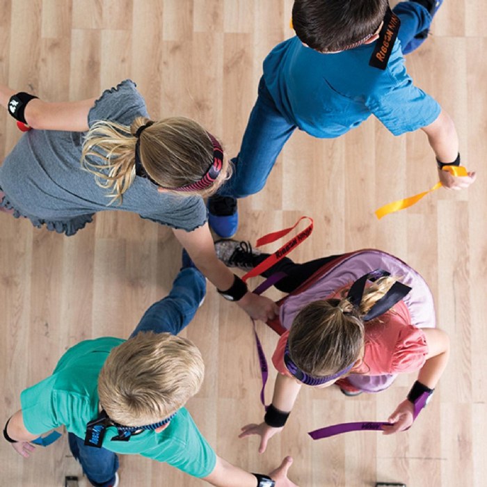 Alternate Image #1 of Ribbon Ninja - Active Ribbon-Snatching Game