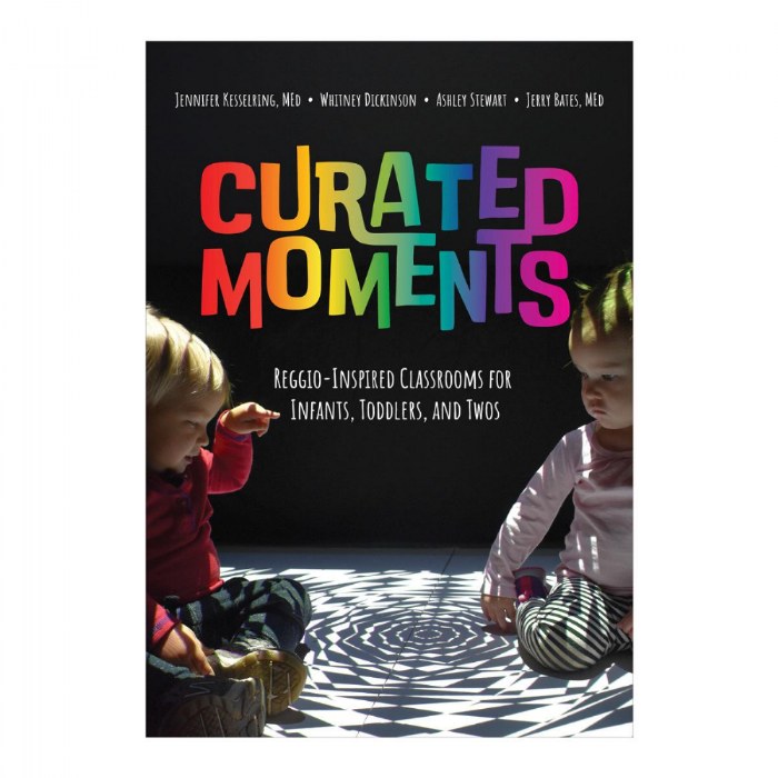 Primary Image of Curated Moments: Reggio-Inspired Classrooms for Infants, Toddlers, and Twos - Paperback