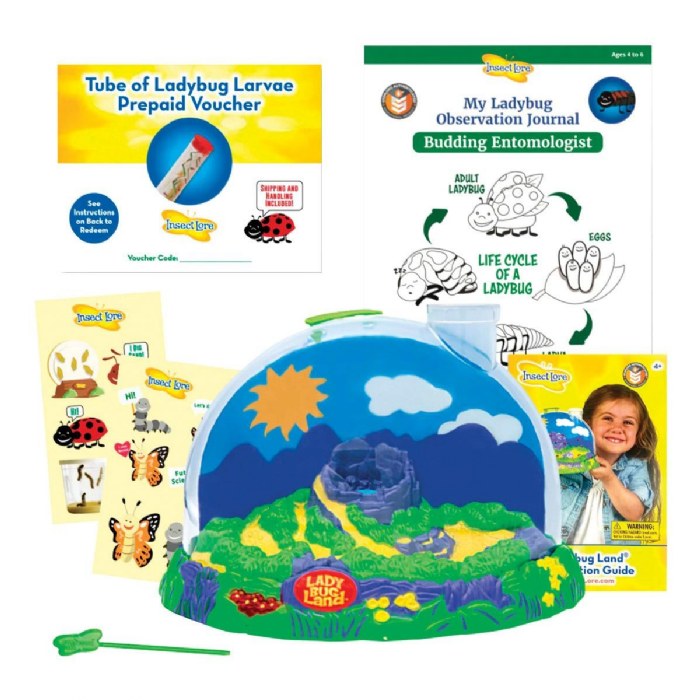 Primary Image of Ladybug Land with Prepaid Voucher