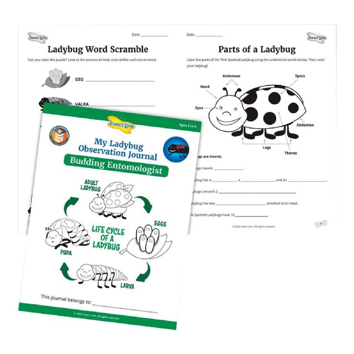 Alternate Image #1 of Ladybug Land with Prepaid Voucher