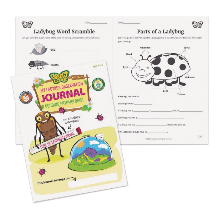 Alternate Image #1 of Ladybug Land with Prepaid Voucher