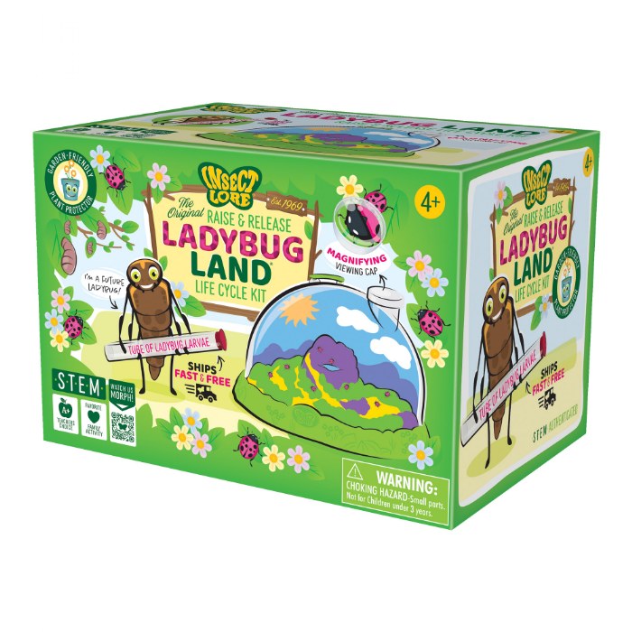Alternate Image #1 of Ladybug Land with Prepaid Voucher