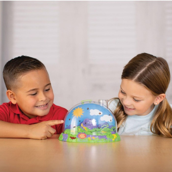 Alternate Image #1 of Ladybug Land with Prepaid Voucher