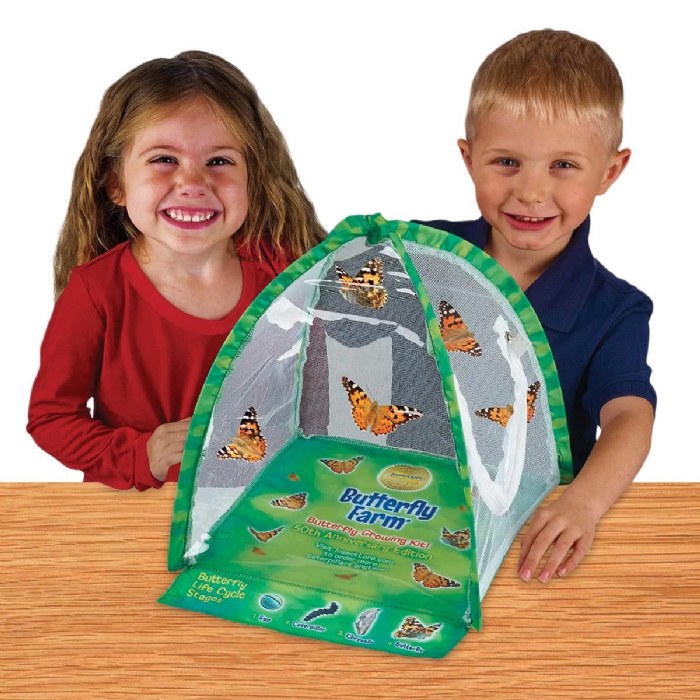 Alternate Image #1 of Butterfly Farm with Prepaid Voucher