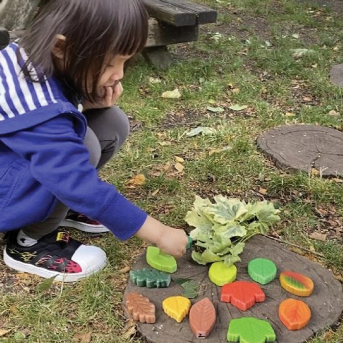 Alternate Image #1 of Sensory Play Stones: Leaves - 12 Pieces