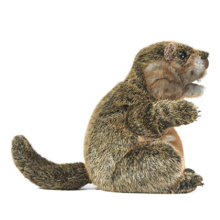 Alternate Image #1 of Groundhog Hand Puppet