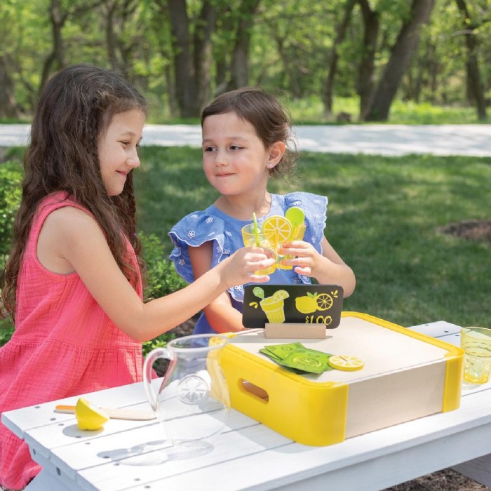 Alternate Image #1 of Lemonade Stand Set