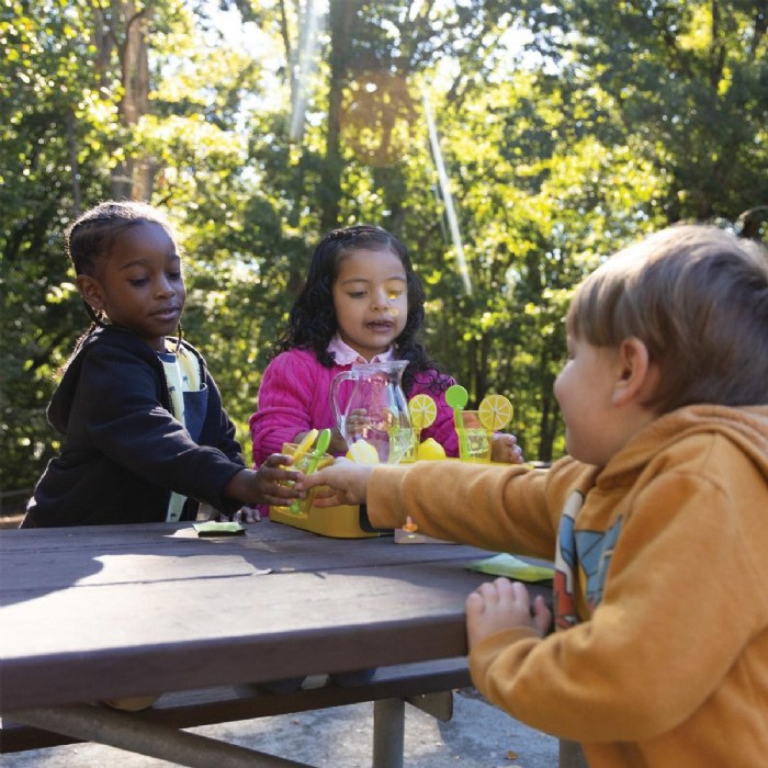 Alternate Image #1 of Lemonade Stand Set