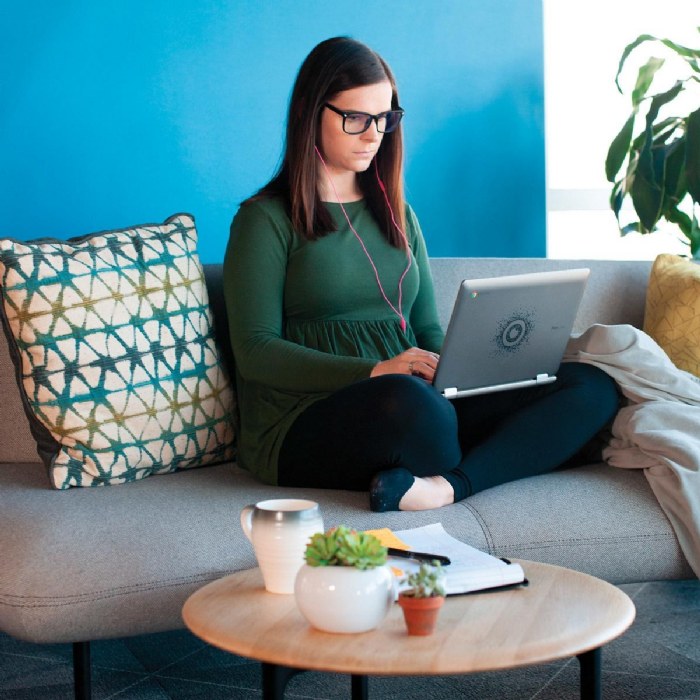 Alternate Image #1 of EFgo: Executive Function Professional Development Individual Course Module