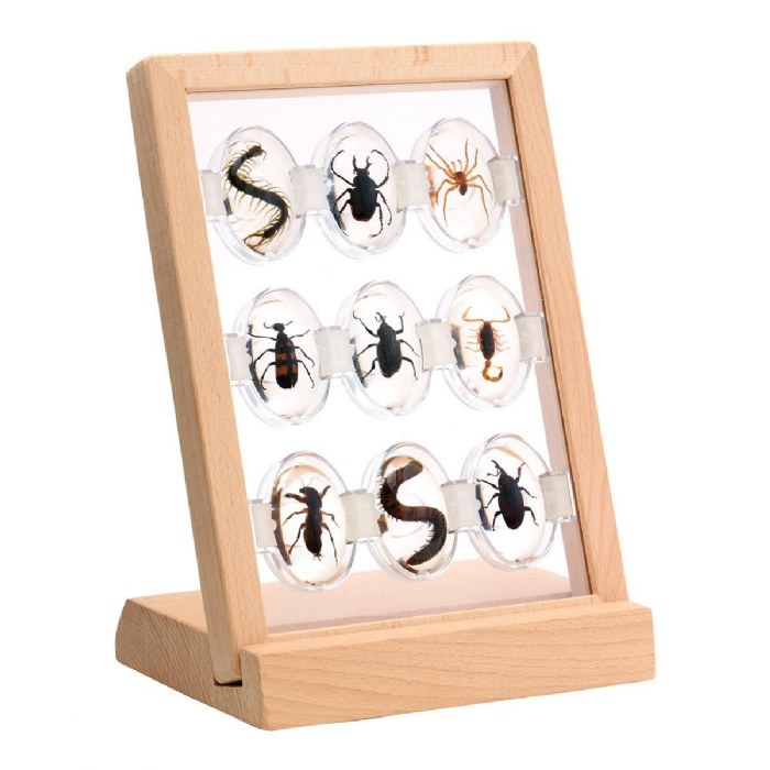 Alternate Image #1 of Specimen Stones: Creepy Crawlers - 9 Stones