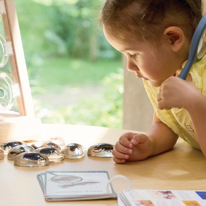 Alternate Image #1 of Specimen Stones: Creepy Crawlers - 9 Stones