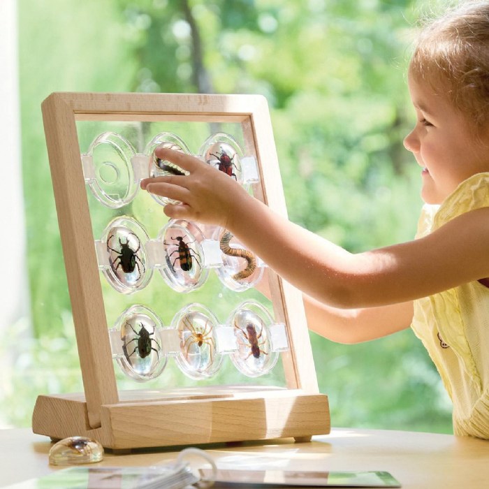 Alternate Image #1 of Specimen Stones: Creepy Crawlers - 9 Stones