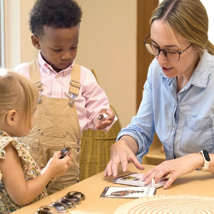 Alternate Image #1 of Specimen Stones: Creepy Crawlers - 9 Stones