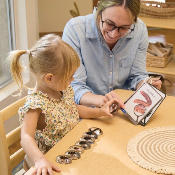 Alternate Image #1 of Specimen Stones: Creepy Crawlers - 9 Stones