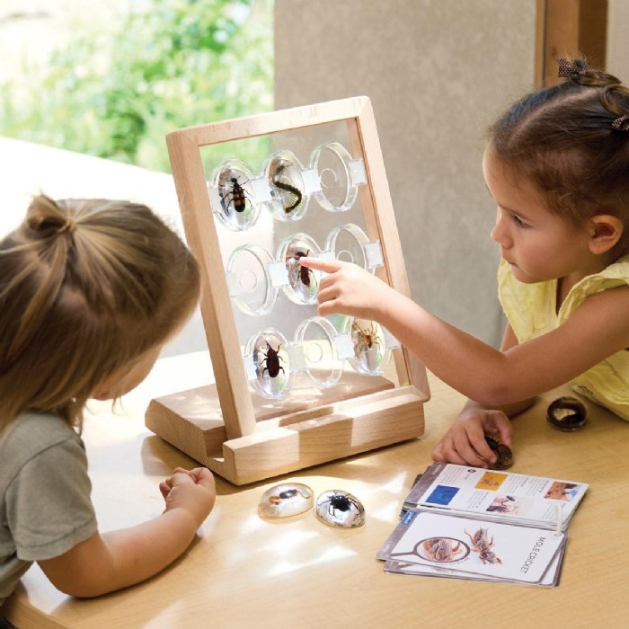 Alternate Image #1 of Specimen Stones: Creepy Crawlers - 9 Stones