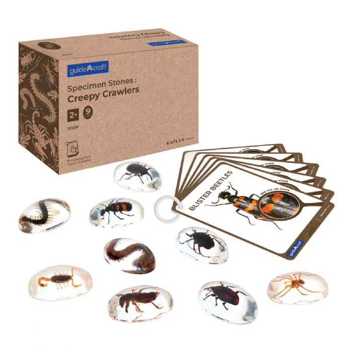 Primary Image of Specimen Stones: Creepy Crawlers - 9 Stones