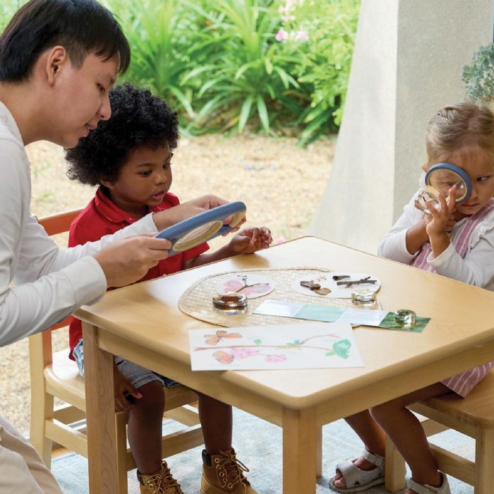 Alternate Image #1 of Specimen Life Cycle Puzzle - Butterfly