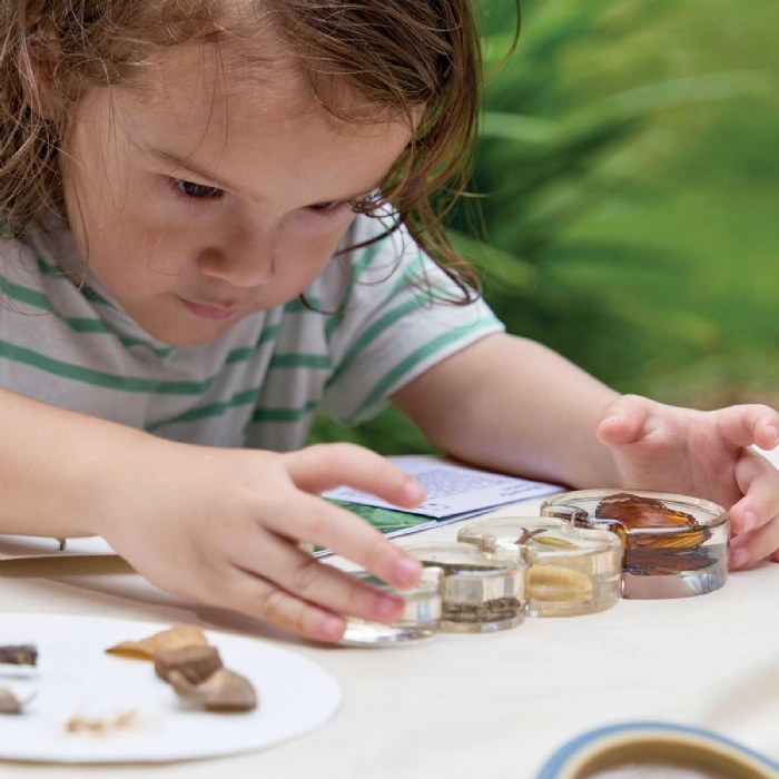 Alternate Image #1 of Specimen Life Cycle Puzzle - Butterfly